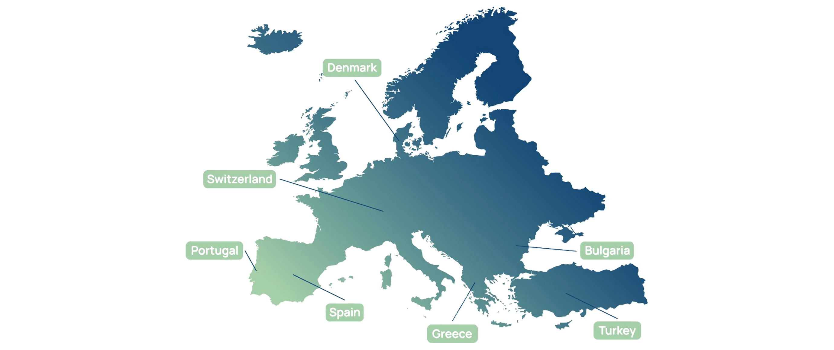 REEFLEX: Empowering Tomorrow's Energy Landscape - A Year of Innovation and Growth